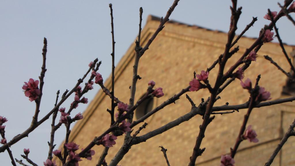 Bed And Breakfast Aratro & Rosmarino Civitanova Marche Exterior foto