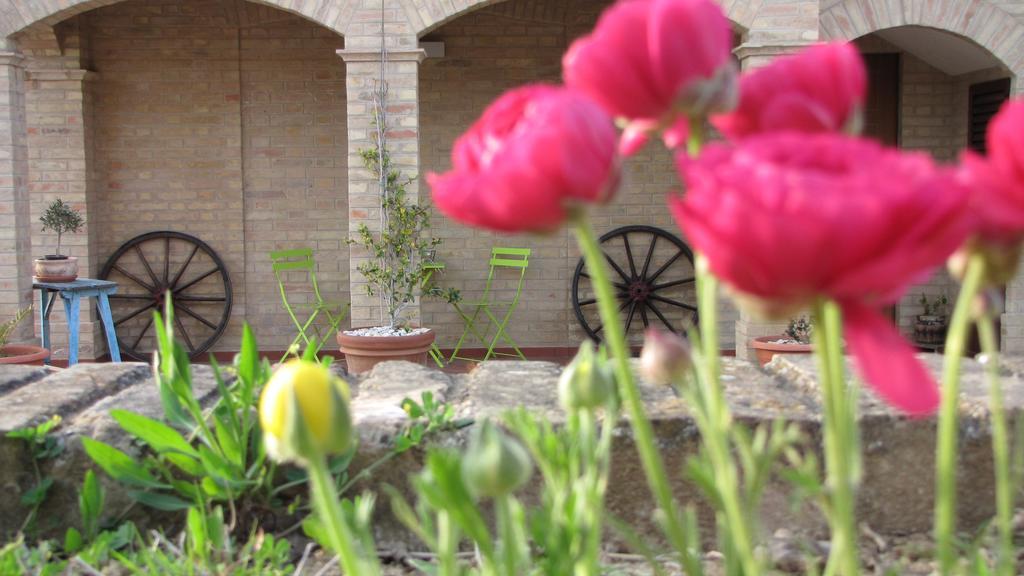Bed And Breakfast Aratro & Rosmarino Civitanova Marche Habitación foto