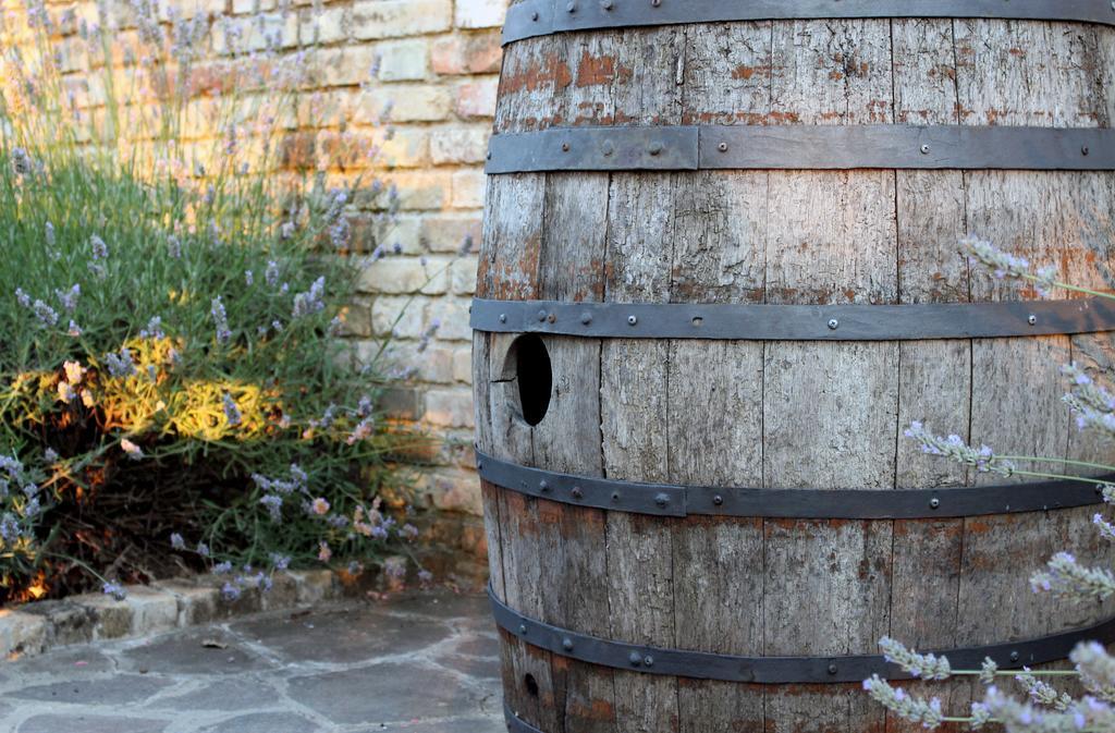 Bed And Breakfast Aratro & Rosmarino Civitanova Marche Exterior foto