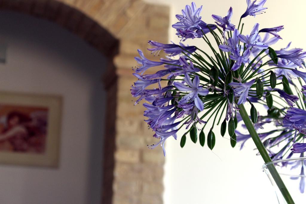 Bed And Breakfast Aratro & Rosmarino Civitanova Marche Exterior foto