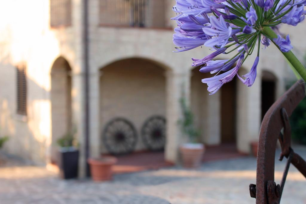 Bed And Breakfast Aratro & Rosmarino Civitanova Marche Exterior foto