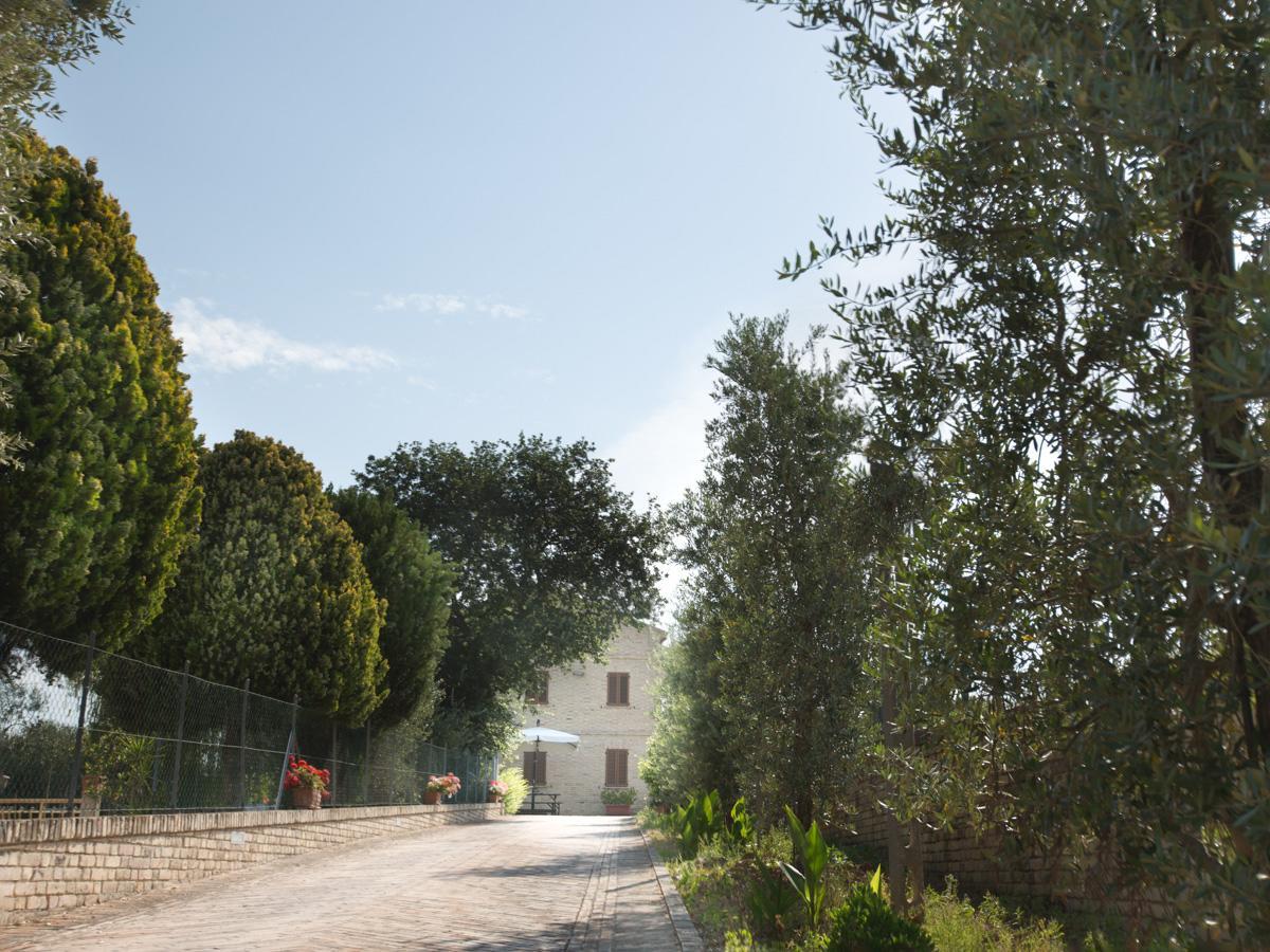 Bed And Breakfast Aratro & Rosmarino Civitanova Marche Exterior foto